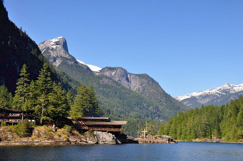 fjords framed by west coast forests blue skies and snowcapped mountain peaks.